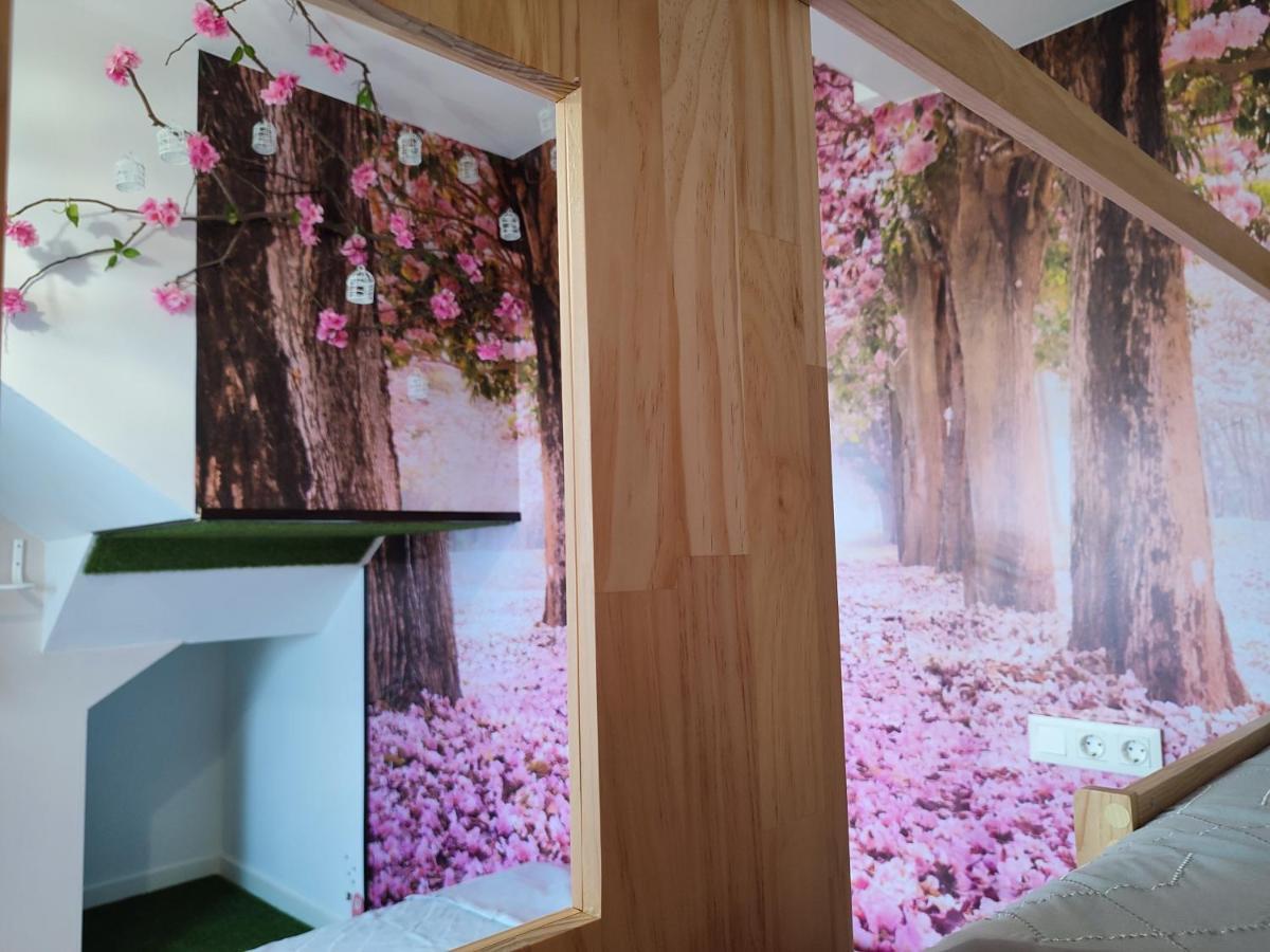 Suenos De Orive. Con Piscina Y Wifi. Casco Antiguo. Διαμέρισμα Κόρδοβα Εξωτερικό φωτογραφία